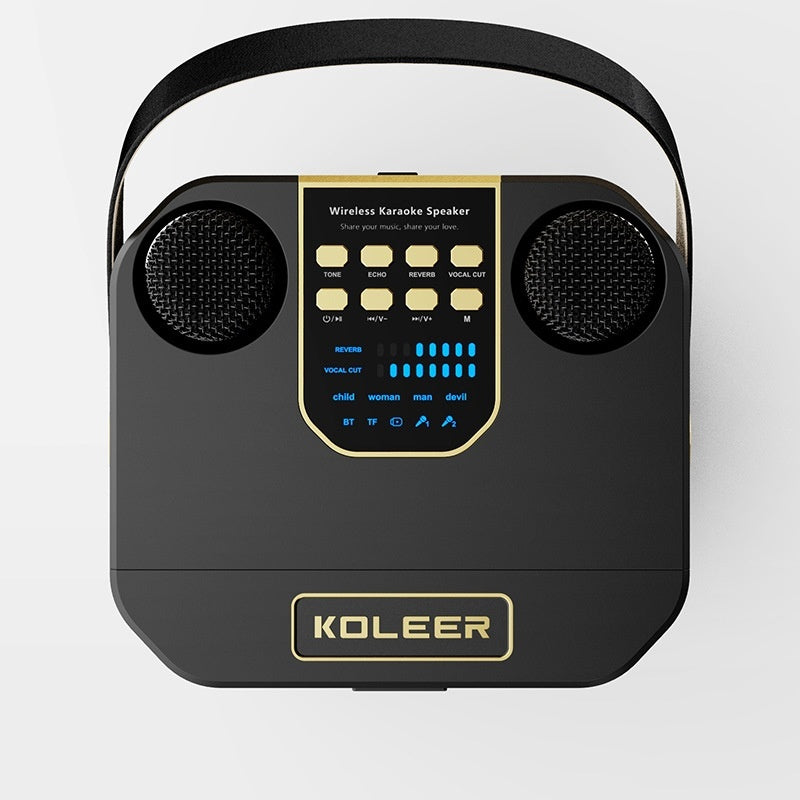 Dual Stereo Portable Karaoke